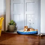 La Casa Del Barranco *