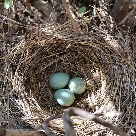Nyaraló La Casa Del Barranco