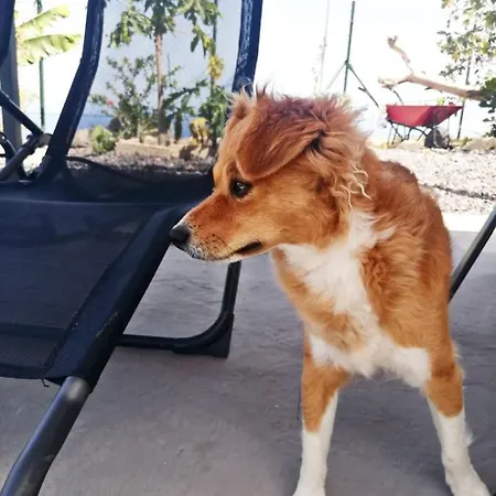 Nyaraló La Casa Del Barranco *