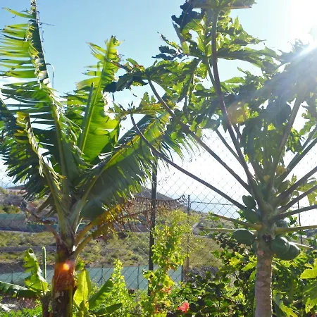 La Casa Del Barranco Nyaraló Fasnia
