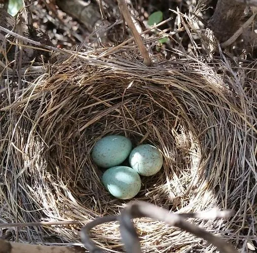 Prázdninový dům La Casa Del Barranco