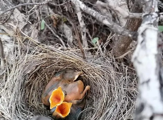La Casa Del Barranco