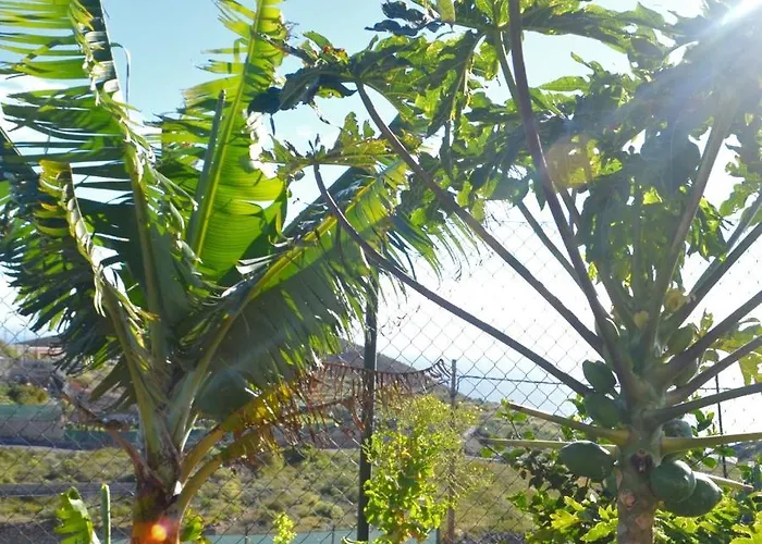 La Casa Del Barranco Prázdninový dům Fasnia