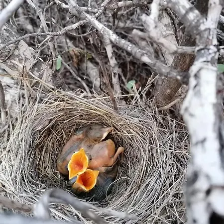 La Casa Del Barranco