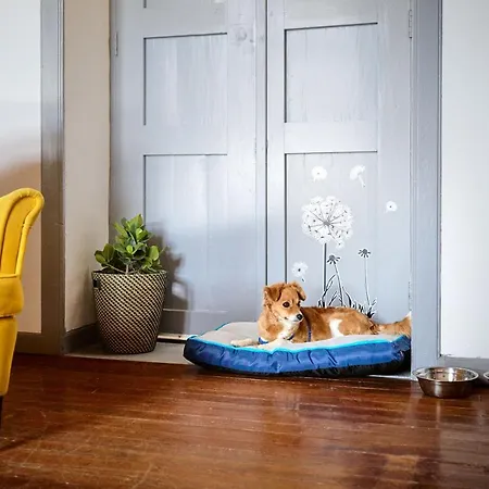 La Casa Del Barranco *